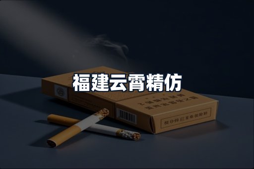 福建云霄精仿